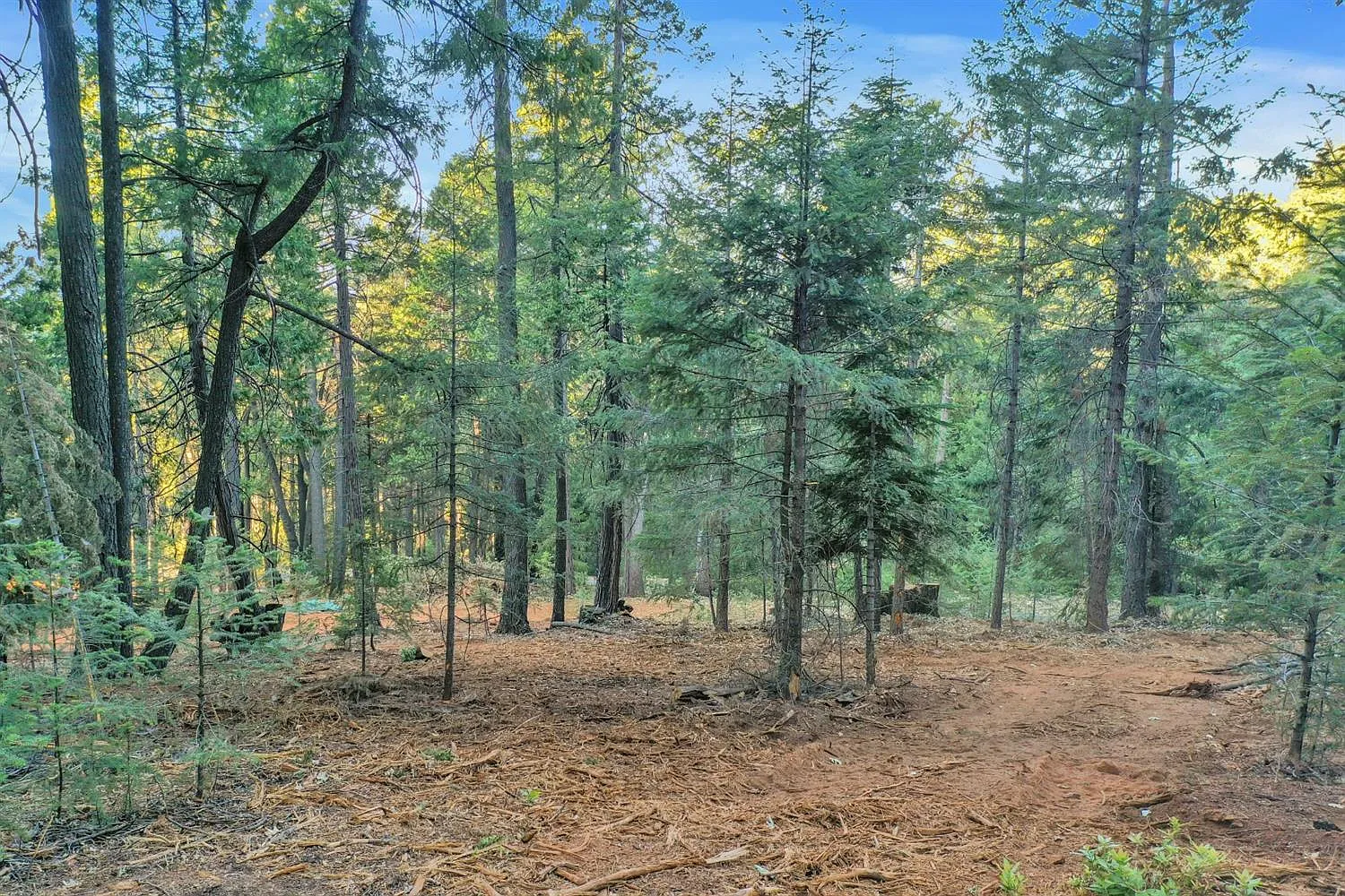 11431 Winter Moon Way photo 1