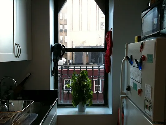 Rented by Waverly Realty Associates | media 24