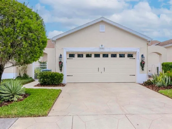 20853 Eustis Rd, Land O Lakes, FL 34637