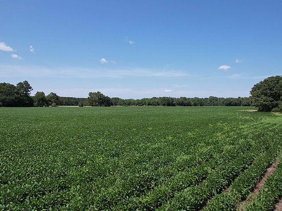 5th image of Lot 5 - Buck Strong Rd