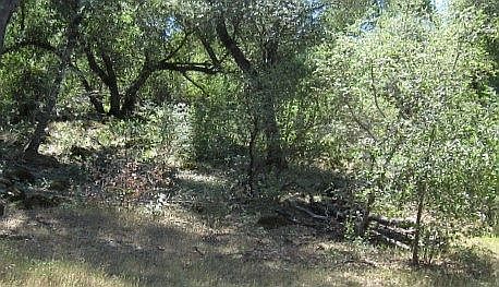 4th image of 16237 12th Ave