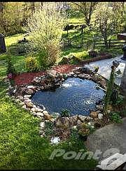 W Dog Ridge garden pond