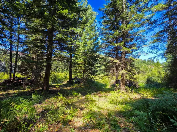 Nna Pup Paw Trl, Priest River, ID 83856