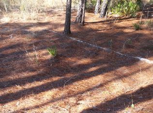 4554 Alan Lake Rd, Keystone Heights, FL 32656