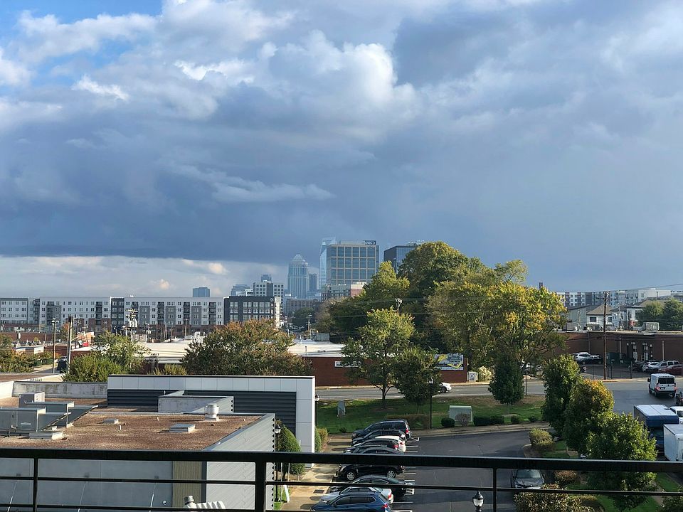 Rooftop Lawn View of City