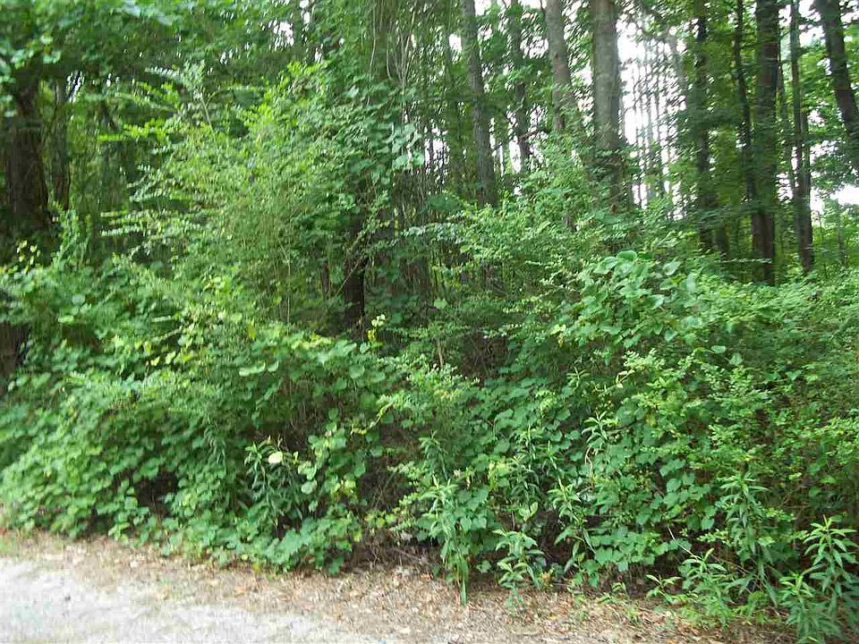 2nd image of LOT-21A Lewis Ln #21A