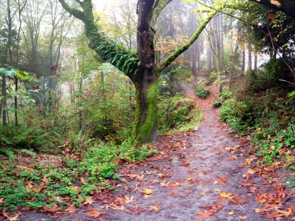 1623 21st Ave E, Seattle, WA 98112