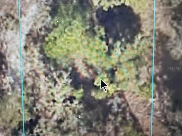 SE 125th Ln Lot 19, Belleview, FL 34420