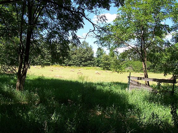 View of neighbor's field from front of the house - now corn, not hay