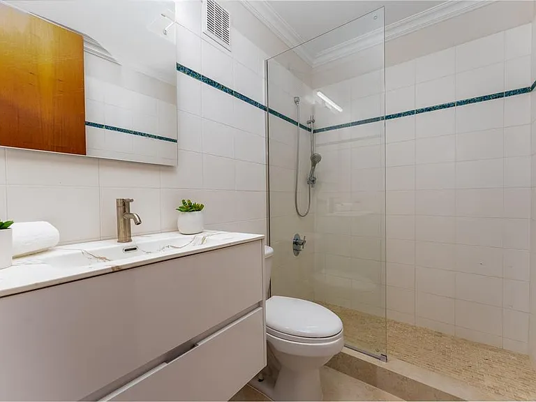 254 Sabanera — Photo 22