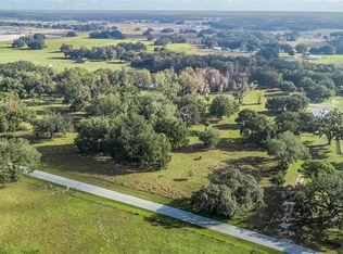 221 Cr, Wildwood, FL 34785