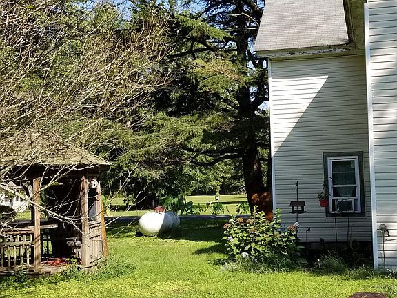 Left side of back yard 