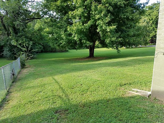 Back yard with mature tree, before new fence installed