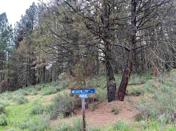 31 S Meadow Creek Dr, Idaho City, ID 83631