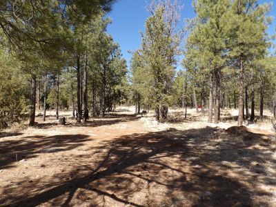 3900 Morning View Dr, Happy Jack, AZ, 86024