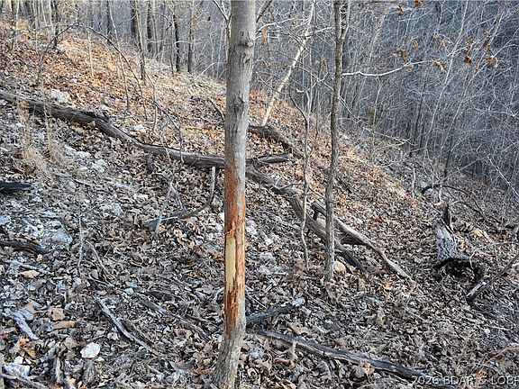 4th image of 0 Restoration Hill Rd