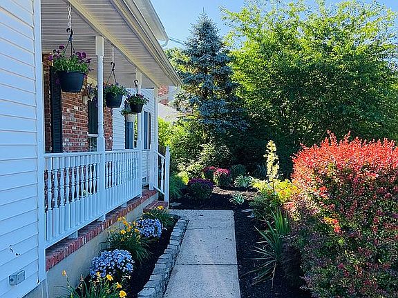 Front walkway and garden