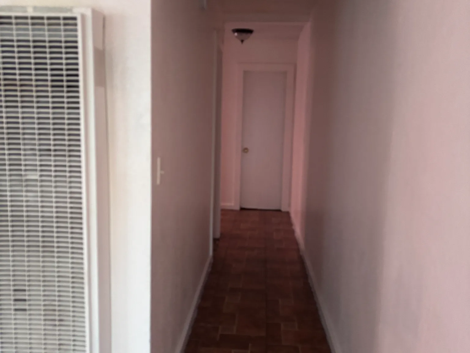 1 bed, 800 sqft, $1,800 — Photo 3