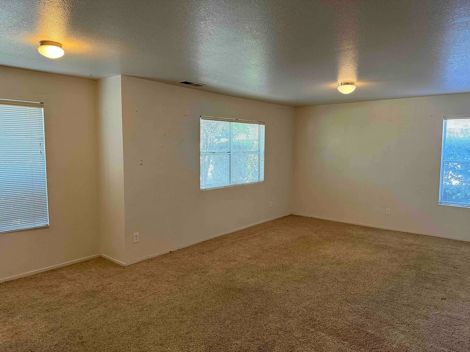 3 bed, 1100 sqft, $2,099 — Photo 4