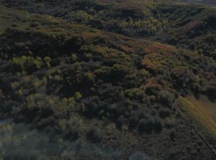 Tbd Harrison Creek, Collbran, CO 81426