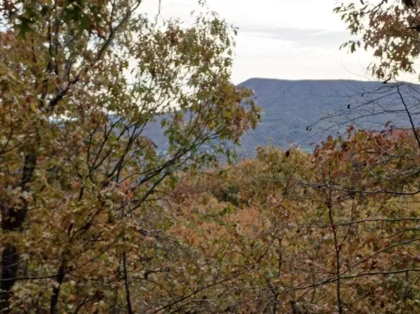 135 Aces Rd, Narrows, VA 24124