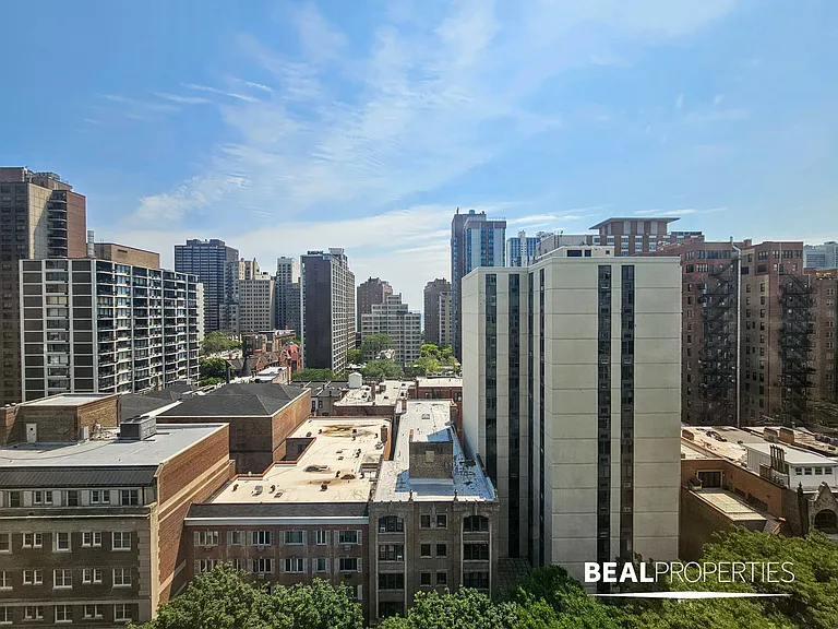 1344 N Dearborn — Photo 53