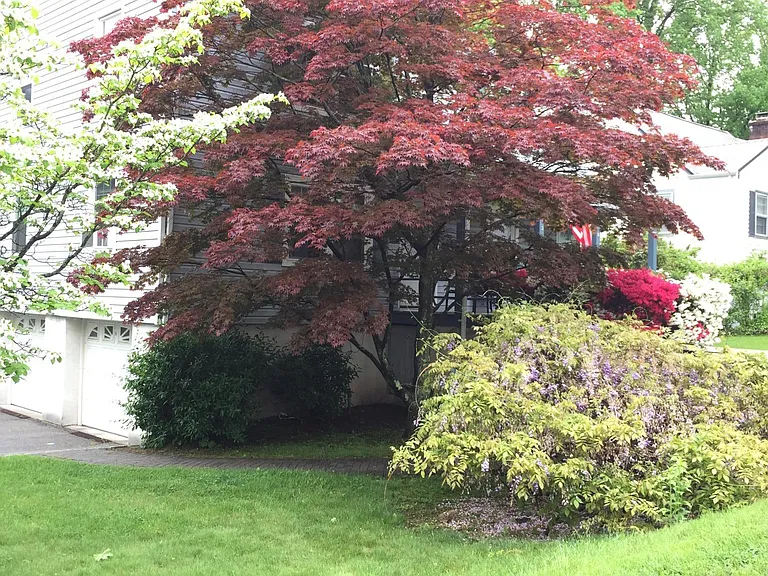 3 Seneca Ave — Photo 23