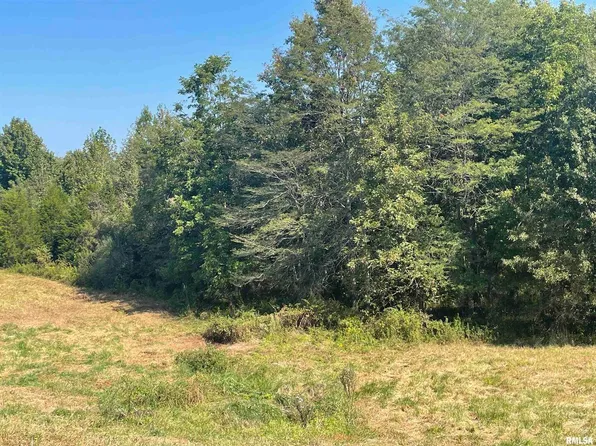 3 Hawk Hill Ln, Buncombe, IL 62912
