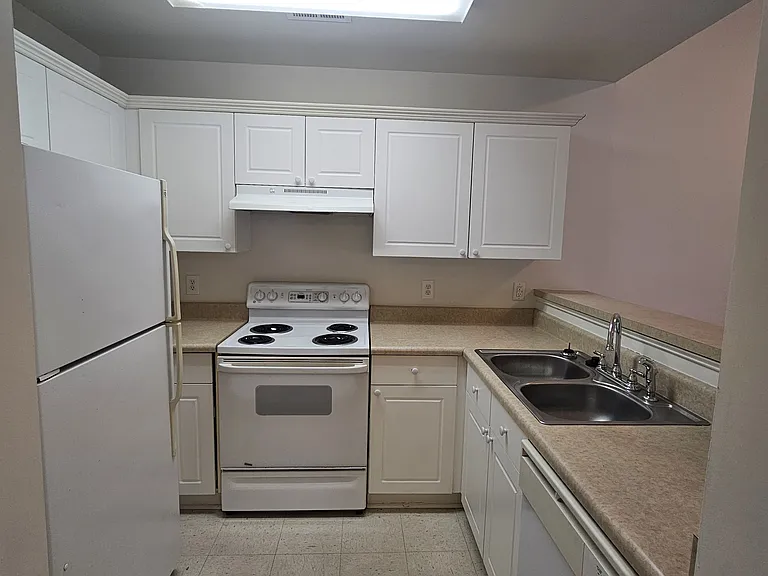 4212 Winding Branches Dr — Photo 3