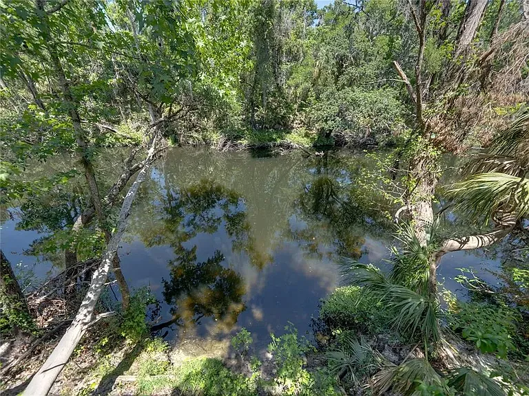 13004 Bell Creek Chase — Photo 19