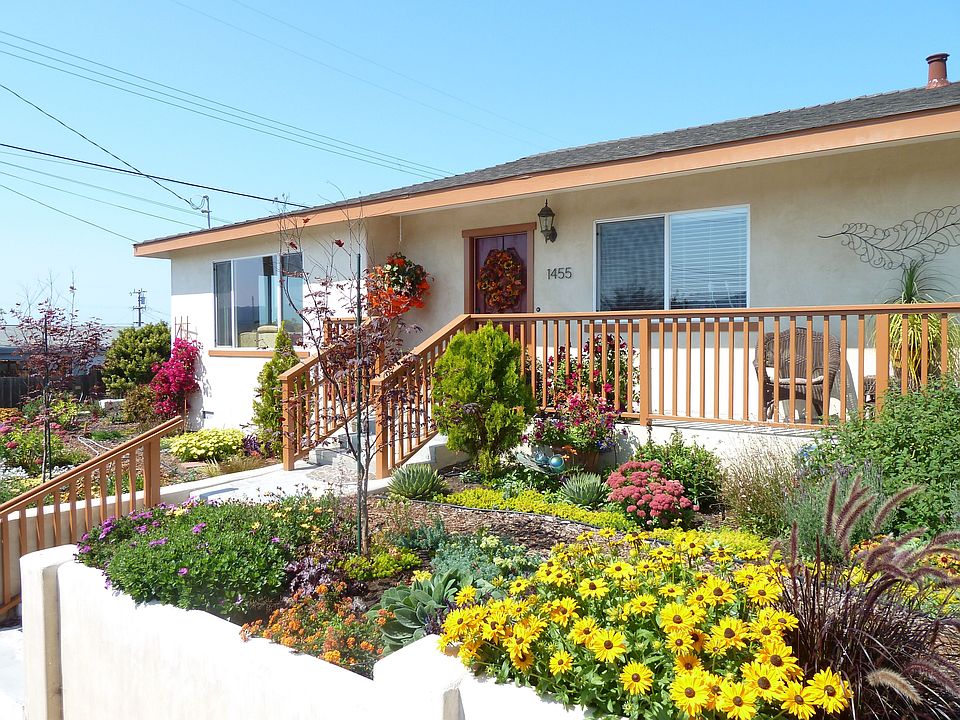 Front garden Southwest facing view
