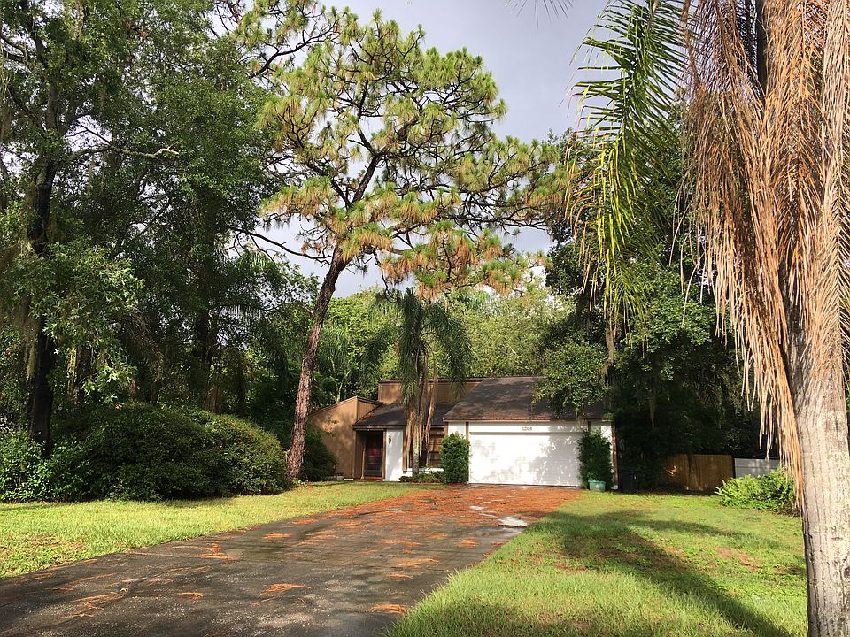 Front of the house