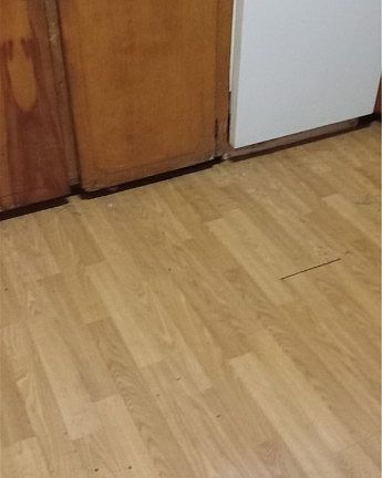 5th image of 1036 Pine Avenue