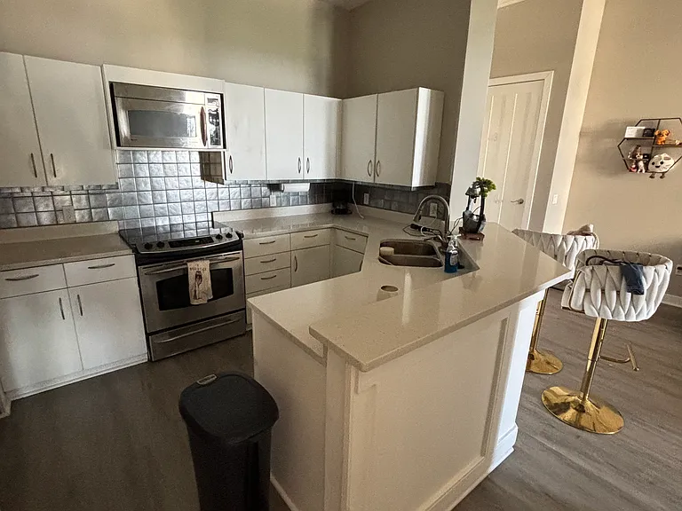 3334 Peachtree Rd NE #1710 — Photo 8