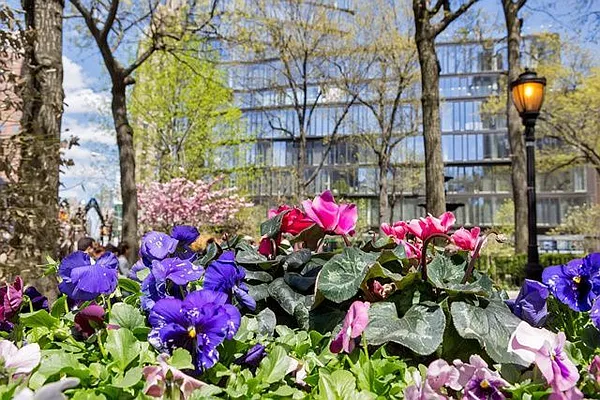 Rented by Cooper & Cooper Real Estate | media 42