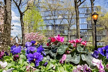 Rented by Cooper & Cooper Real Estate