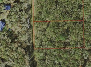 10430 Turpin Ave, Hastings, FL 32145