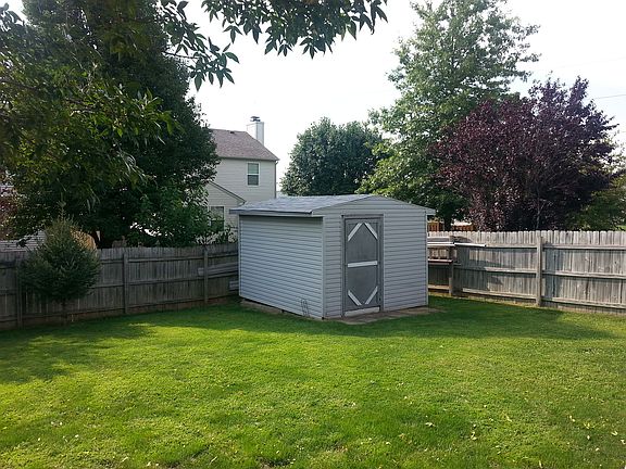 back yard with shed