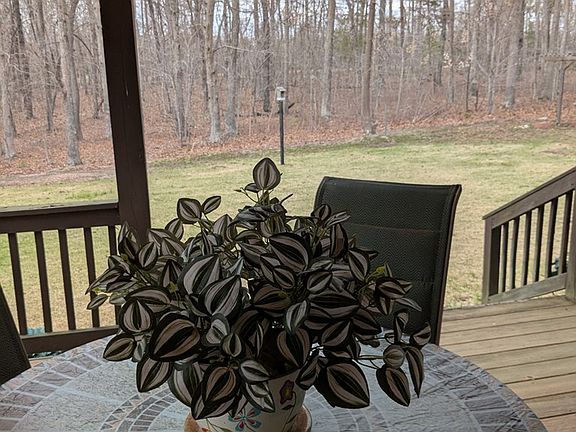 4th image of 9583 Nutbush Rd