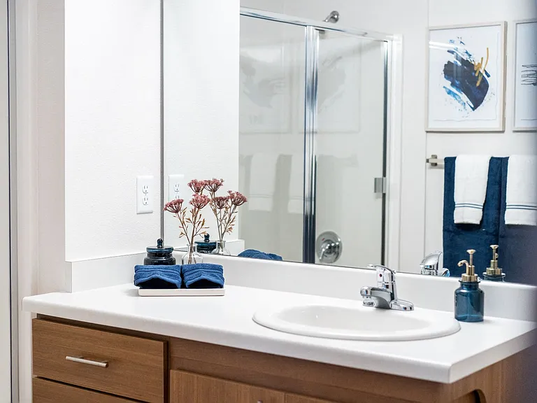 Reserve at Lacey 55+ Active Senior Living — Photo 24