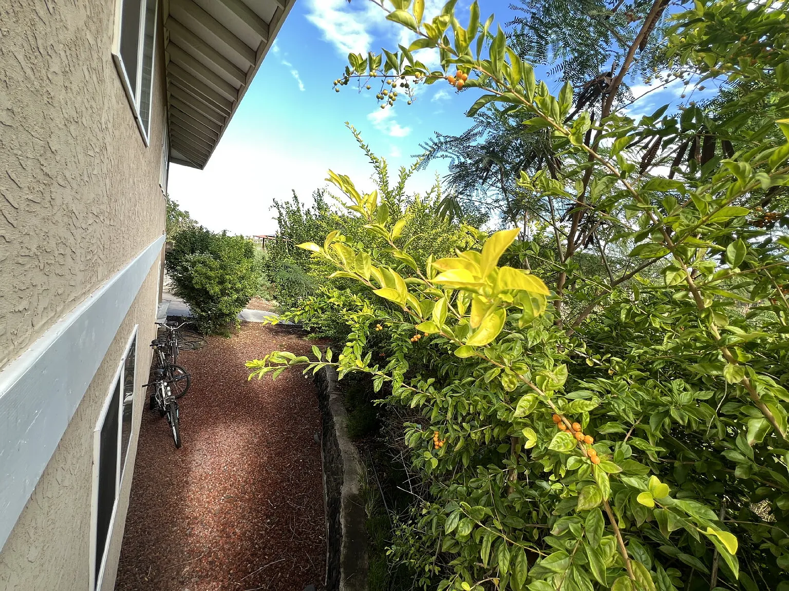 1 bed, 1.0 bath, 1000 sqft, $2,500 — Photo 2