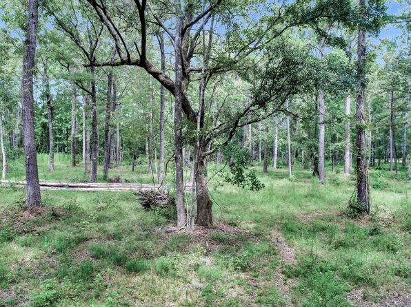 6215 Beaver Dam Rd, Adams Run, SC 29426