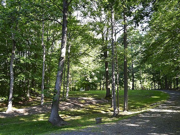 View from Family Room
