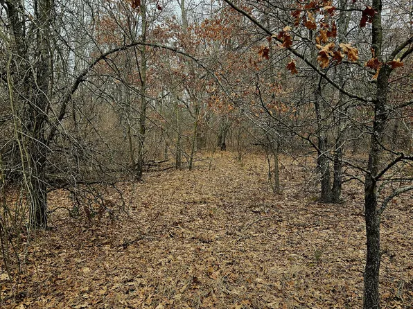12622 Five Mile Rd, Evart, MI 49631