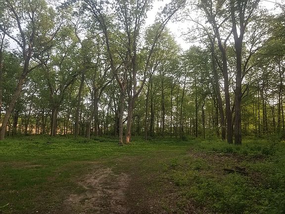 2nd image of Orchid Ln