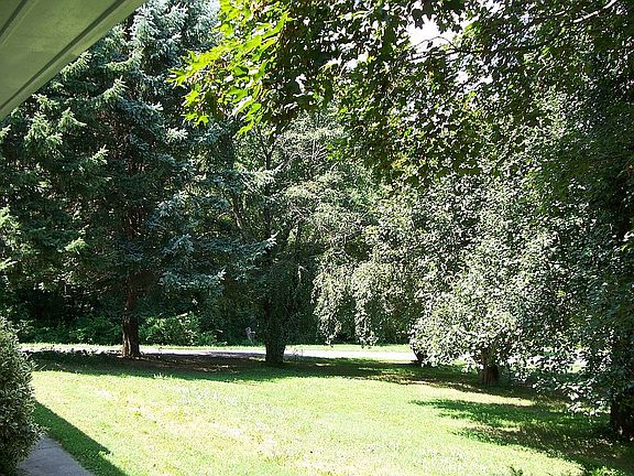 Front Property, Spring