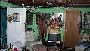 1st image of 516 Alliance Ave