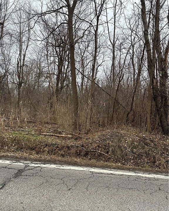 2nd image of Newell St