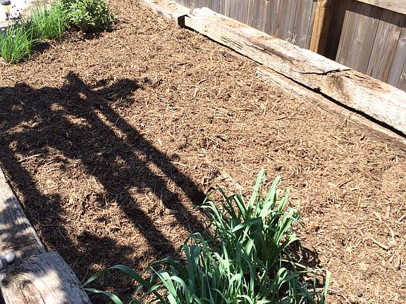 Raised Vegetable Garden