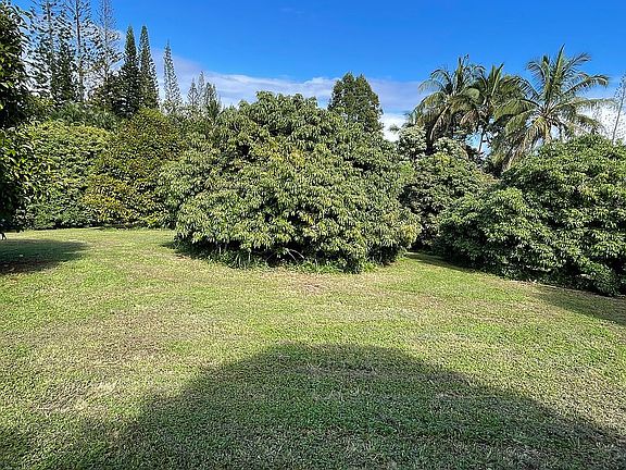 Mangosteen/lychee orchard